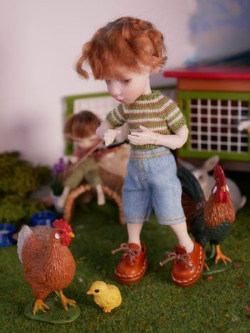 Feeding the chickens