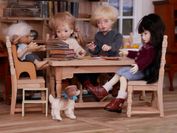 Fairy Forest School of Wizardry