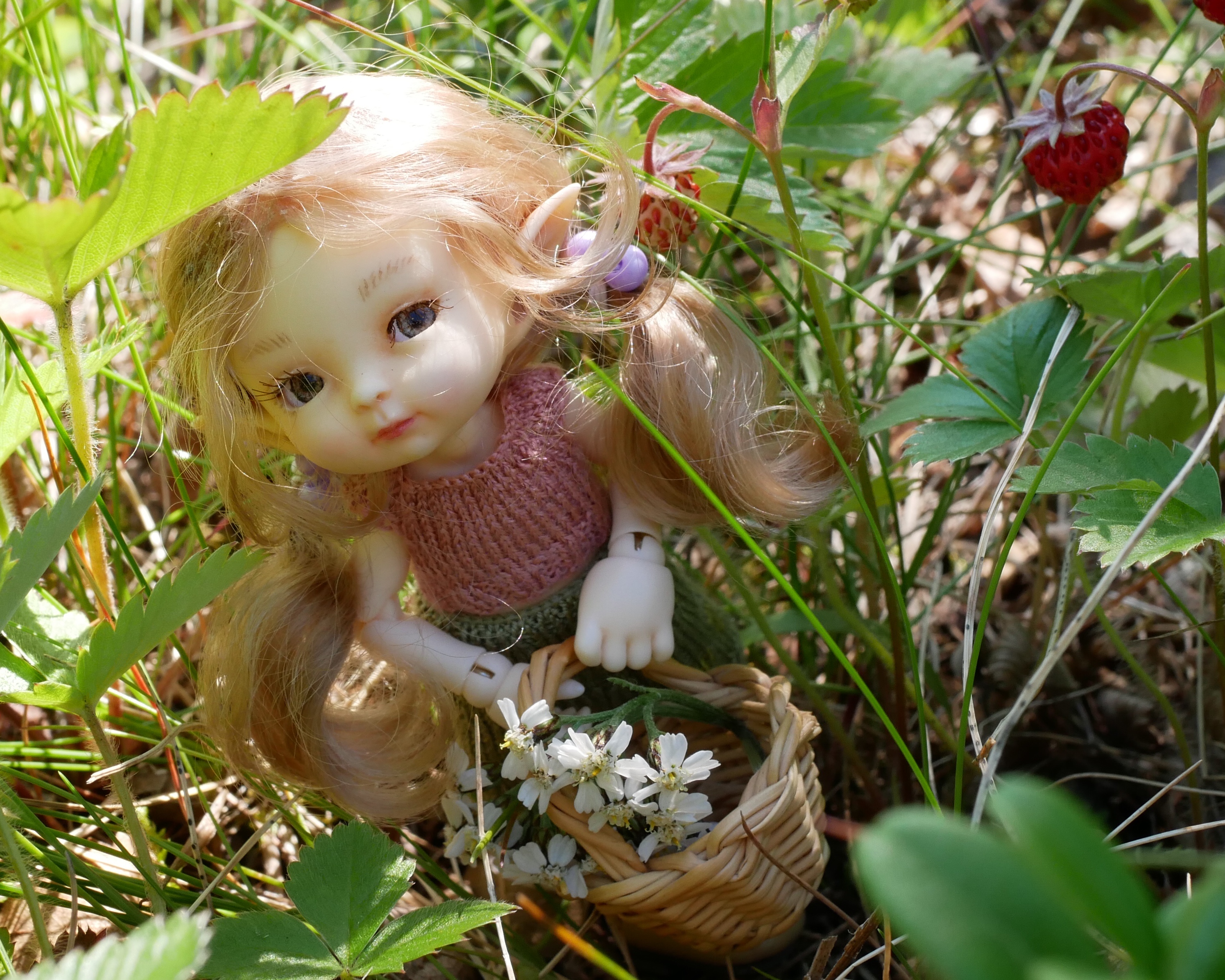 My favorite picture of Frida