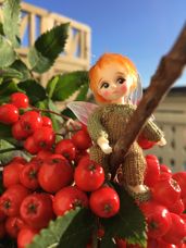 Pinky and the rowan berries