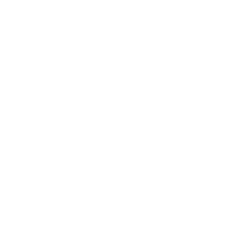 RV campers