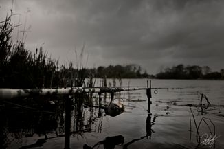 _DSC2180_01