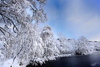 gall_winterbeauty_07