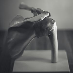 Skulder og arm