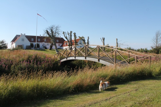 Hunde