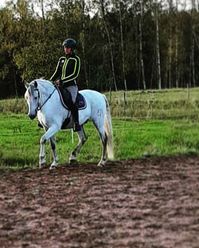 IMG_20201009_211819_701 (1)