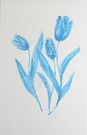 Ann Dring