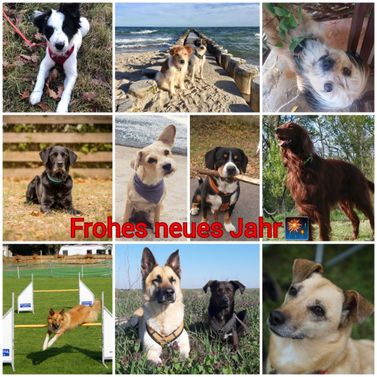 Frohes neues Jahr