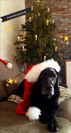 IMG-20191224-WA0001