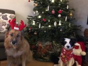 IMG-20191224-WA0002