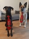 IMG-20191224-WA0003