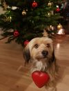 IMG-20191224-WA0005