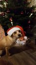 IMG-20191224-WA0006