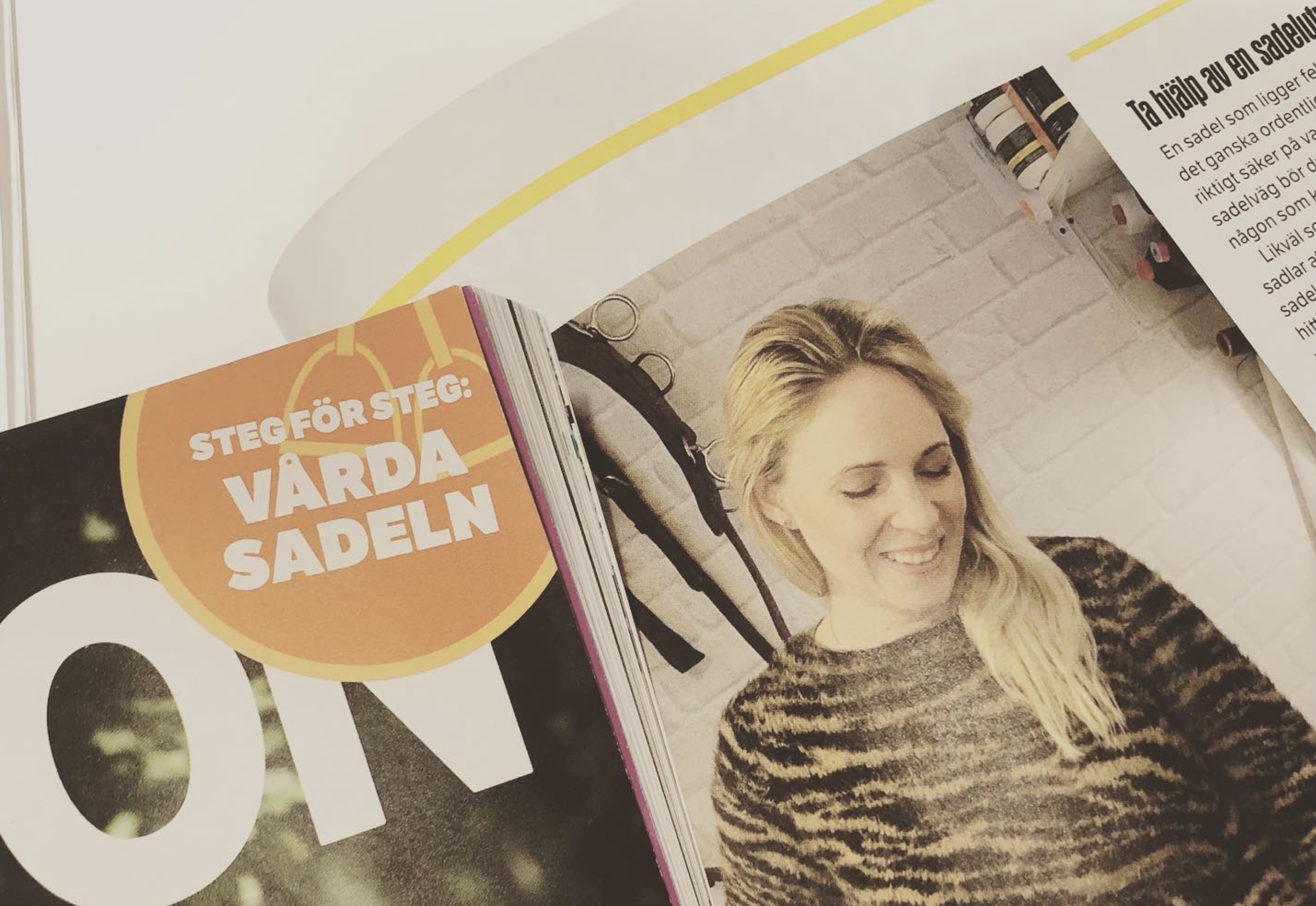 Artikel i Hippson Magazine