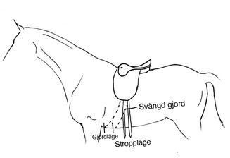 Gjordläge vs stroppläge