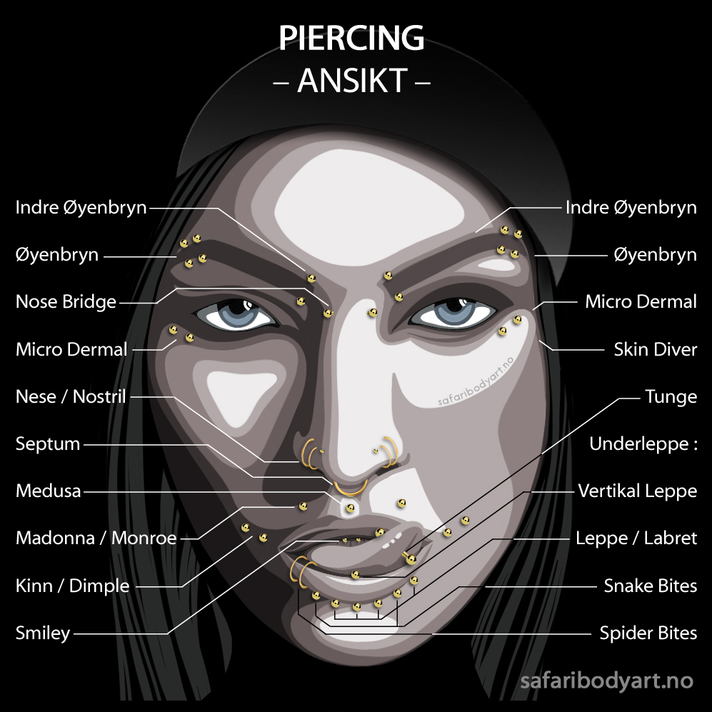Priser Safari Bodyart Studio