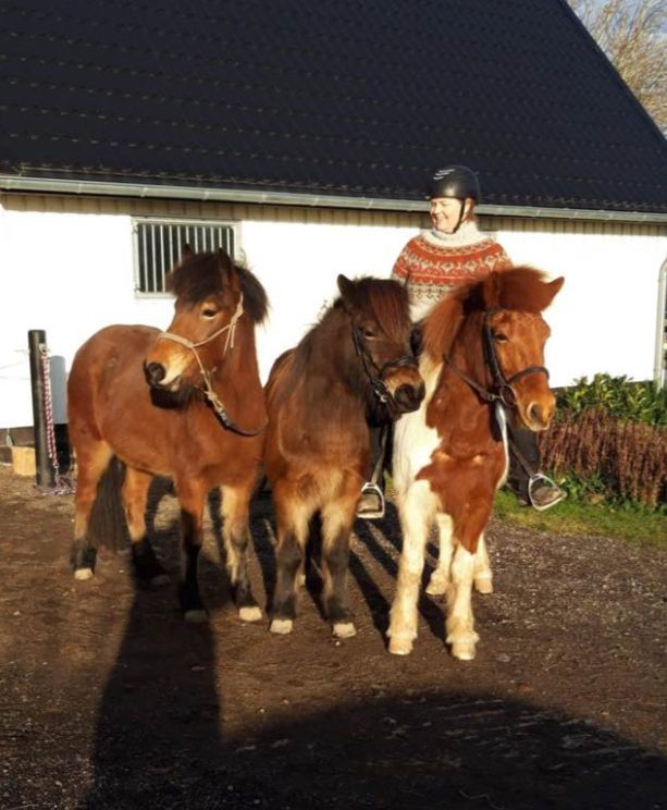 Tritla, Bibi og Saga med på tur :)