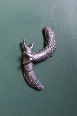 HULMUR_19