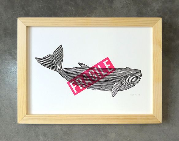 Linogravure. Baleine Fragile