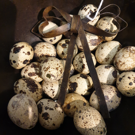 Metallrosett med vaktelägg