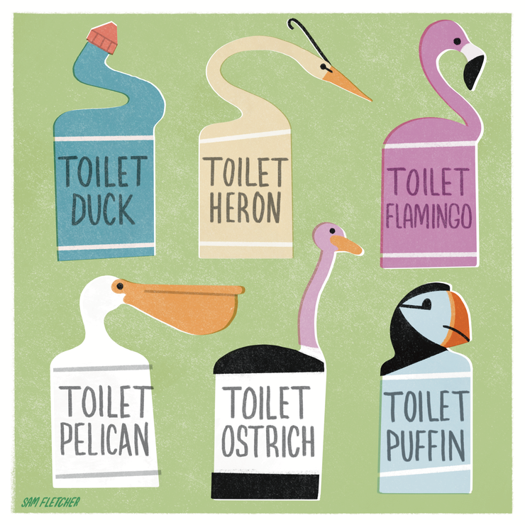 Toilet Duck