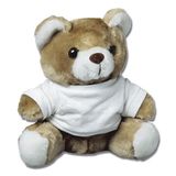 knuffelteddy