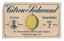 2025fæl029