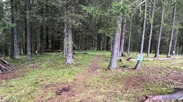 Turbotråkk 3 - Barnas Turlag
