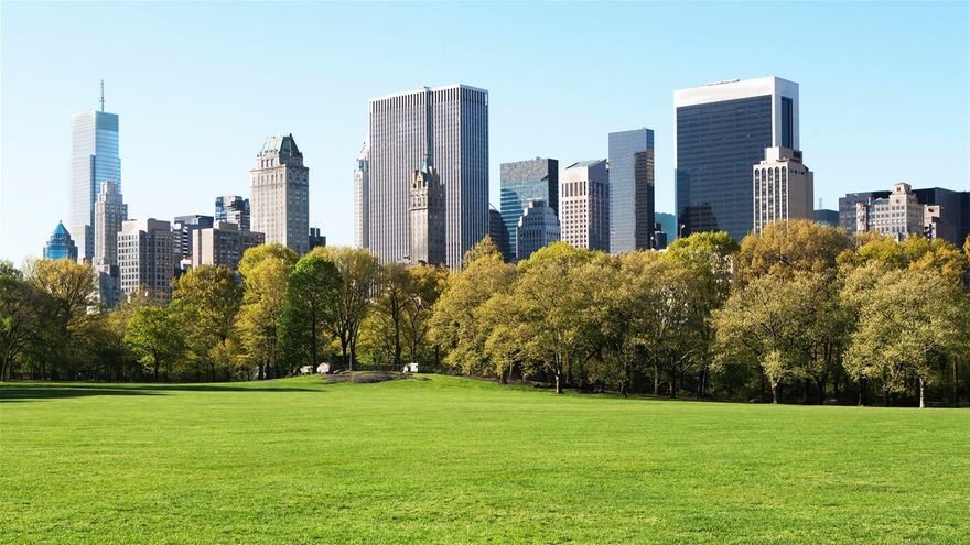 Central Park * New York