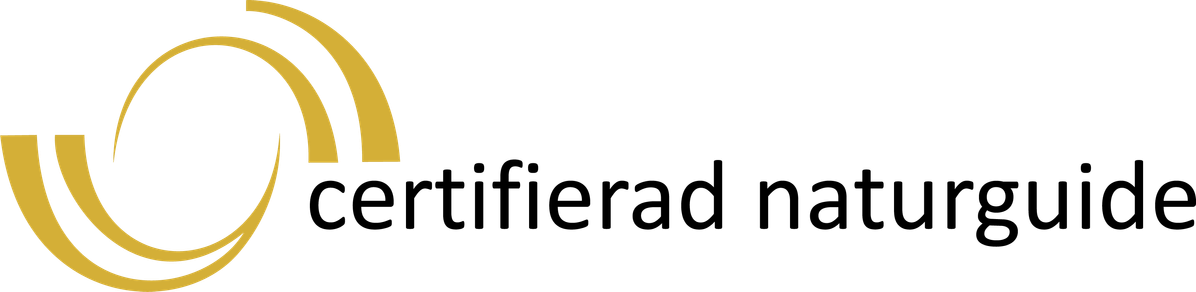 CNG Logo Color (1)