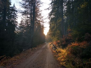 herfst 8