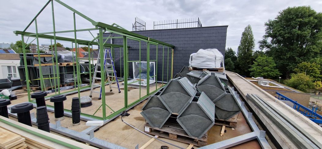 Klimaatslimme daktuin Stadsgras: groene stadsoase 04
