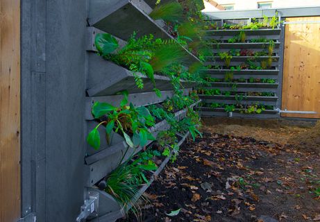 De gevels kleuren prachtig groen