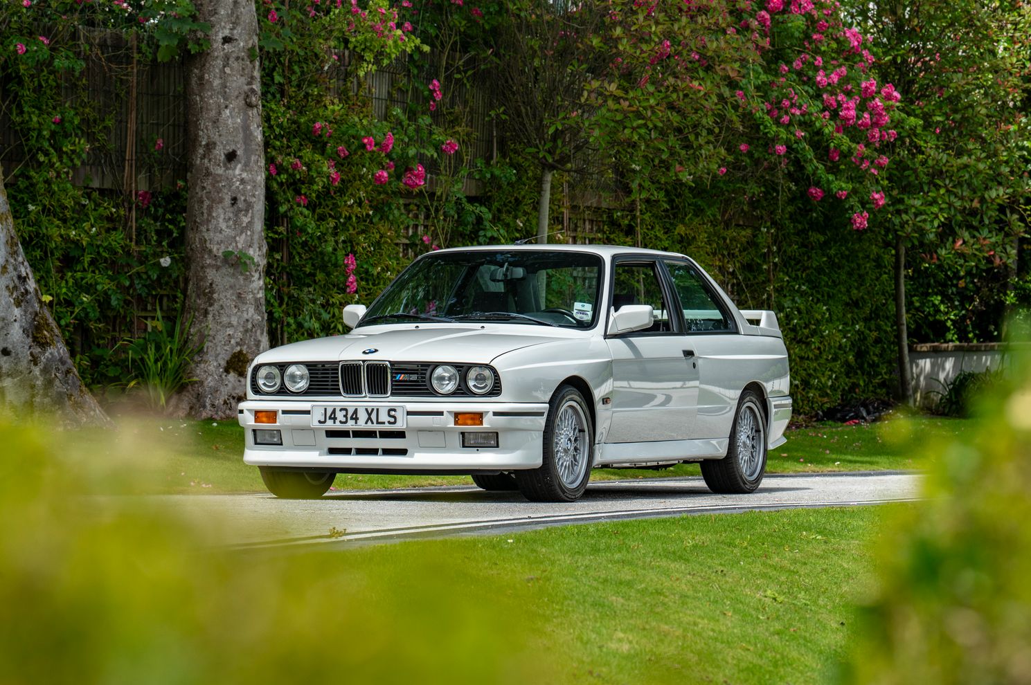 www.aTHOMPSONsPHOTO.com_-_DSC_1393