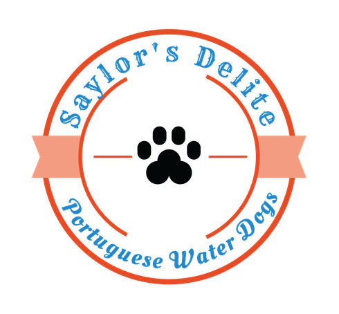 Saylor's Delite Portuguese Water Dogs