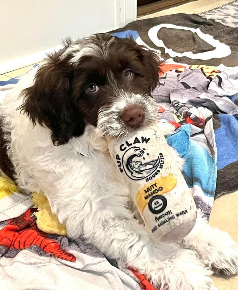 OzzyPupClaw