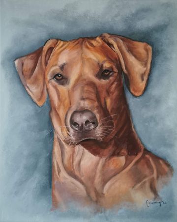 Beau, Rhodesian Ridgeback