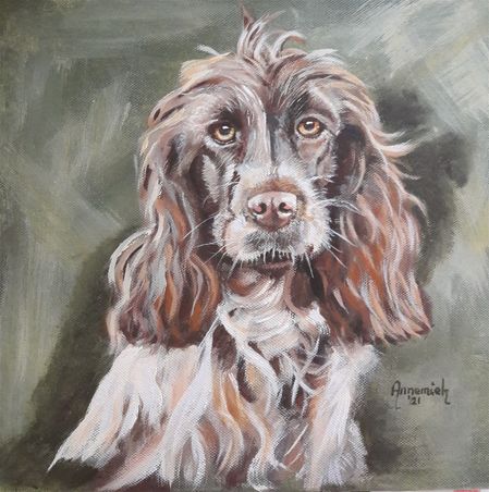 Cocker Spaniel