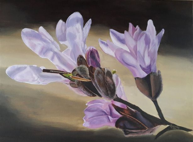Magnolia