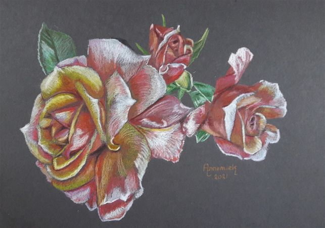 Rozen