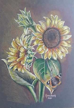 Zonnebloemen