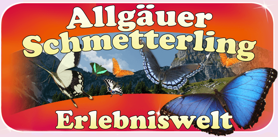 Allgäuer Schmetterling Erlebniswelt