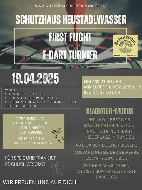 E-Dart Turnier