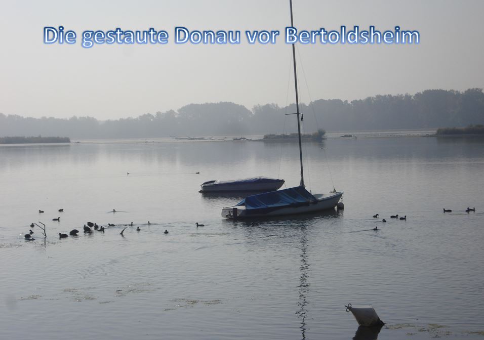 DD_TAG4_5