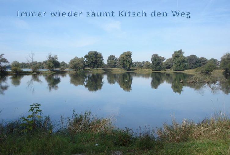 DD_TAG7_3