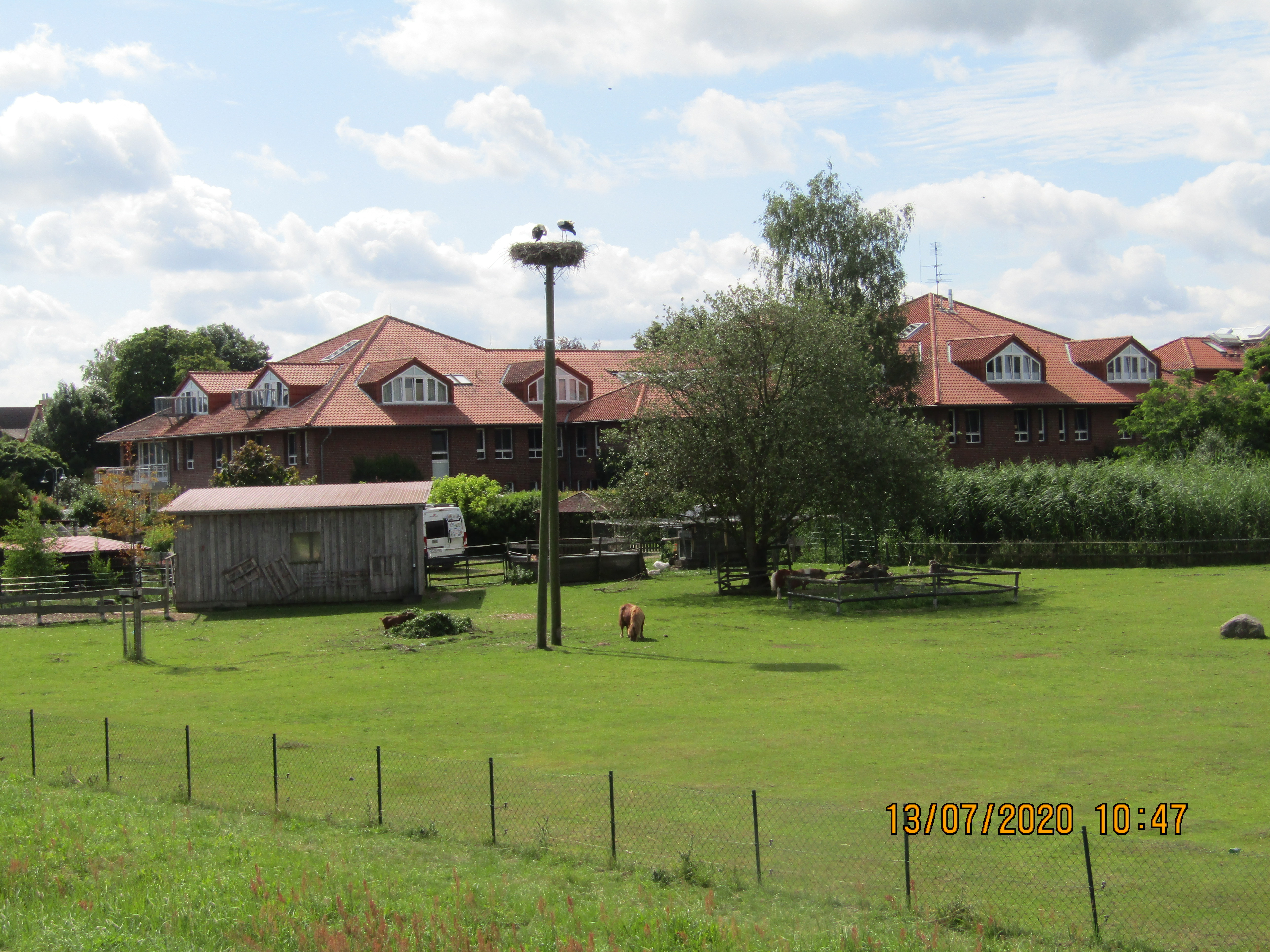 Juwelen am Weg