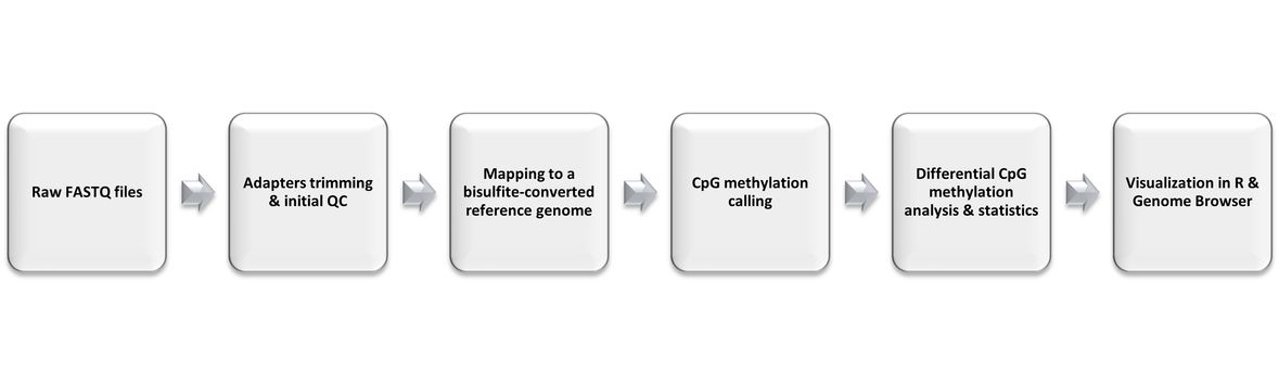 Bisulfite-seq