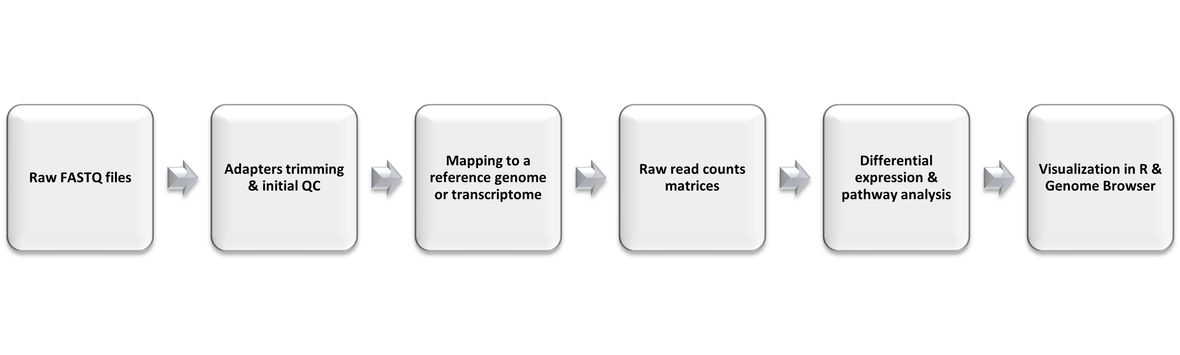 RNA-seq