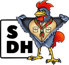 Scouts De Haan