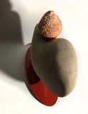 A nut, a seed, a fruit, a nest, a home